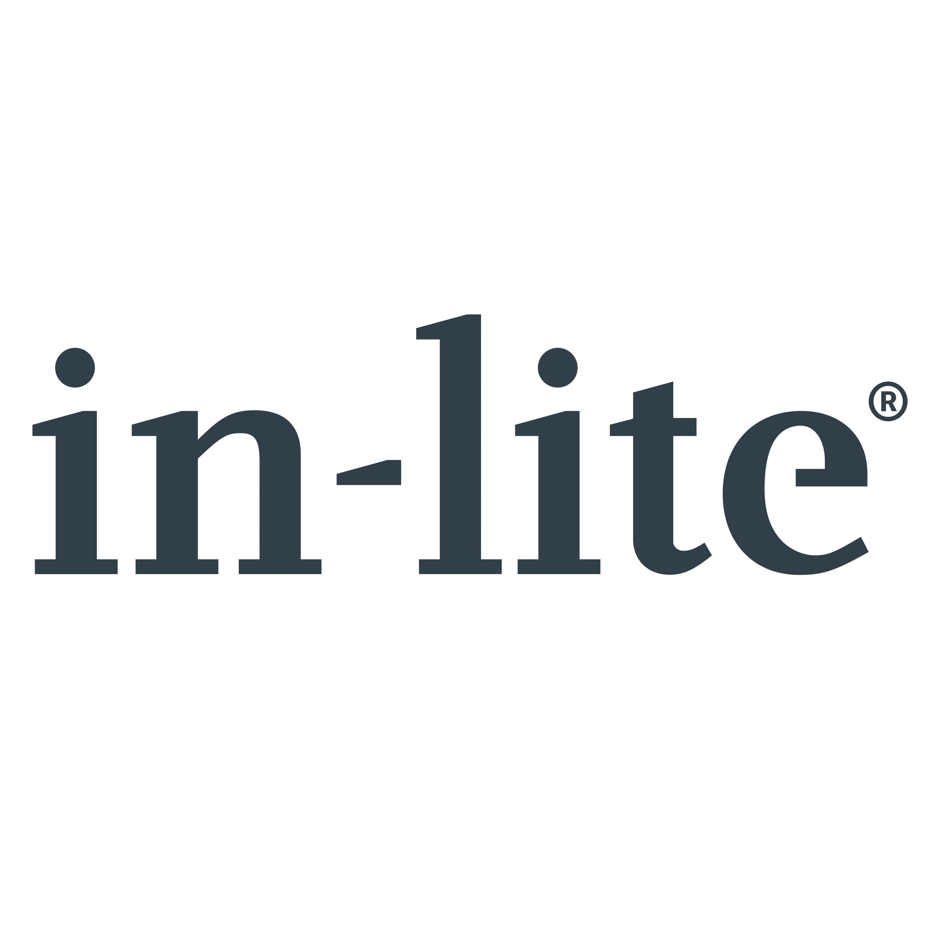 in-lite — klant van Breinvoer bedrijfscatering